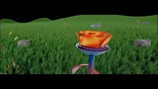 US