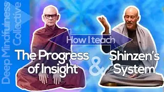 The Progress Of Insight + Shinzen Young's System 🌱 How I teach this path of Spiritual Enlightenment