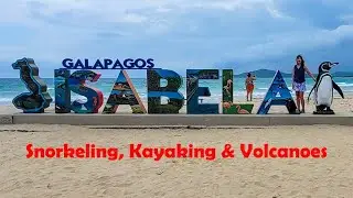 GALAPAGOS Isabela Island Tour - Las Tintorearas, Sierra Negra Volcano Hike & Snorkeling