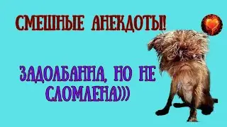 Прикольные анекдоты! Задолбана, но не сломлена...
