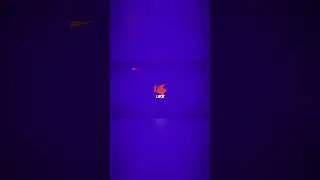 Festive Logo Animation Intro Template #shots #logoanimation #intro