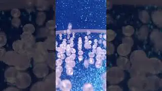 ЗАГАДКА
