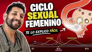 What should I KNOW about the FEMALE SEXUAL CYCLE? | HUMAN EMBRYOLOGY 📚
