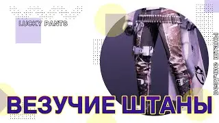 Destiny 2: РАЗБОР ВЕЗУЧИХ ШТАНОВ
