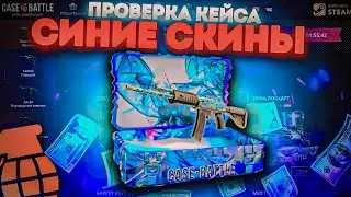 CASE BATTLE ! ПРОВЕРКА КЕЙСА СИНИЕ СКИНЫ В 2024 ГОДУ !