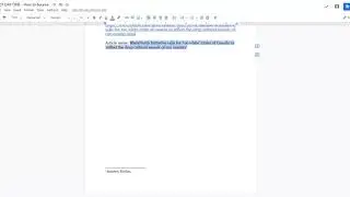 Google Docs ~ How to create a footnote
