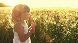 Dandelion Effect; A Linked In Learning Tutorial