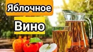 Домашнее Вино из Яблок. Сидр своими руками.