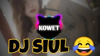 DJ SIUL VIRAL TIK TOK - MELODY SEDIH FLM