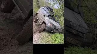 Таёжные приключения