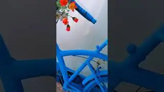Cycle Restoration | 
