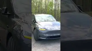 TESLA DROPS PRICES... AGAIN | SparkDrive Shorts 