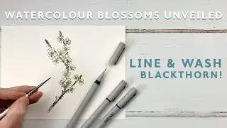 Watercolour Blossoms Unveiled: Line and Wash Blackthorn