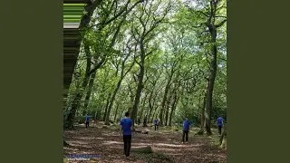 Default Path