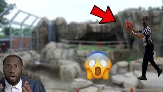 Fake Chinese Zoo Bear's identity has been Revealed...