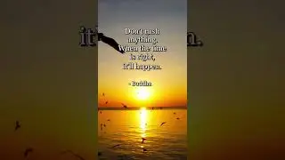 Right time. #buddhism #buddhaquotes #lifequotes #motivationalquotes #inspirationalquotes