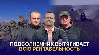 Могли бы засеять все подсолнечником, но бережем землю — КХ Амид