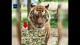 How to Copy Color From Any Image in Photoshop Tutorial by Graphics Designs