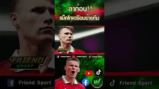 เทนฮากไฟเขียวขาย "แม็คโทมิเนย์"