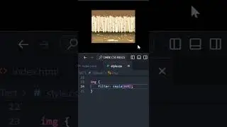 CSS Trick  