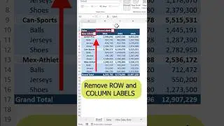 Remove ROW/COLUMN LABELS in pivot table