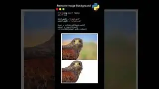 remove image background in python  #python  #coding #pythonprogramming