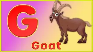 Letter G | Goat, Ghost, Gorilla, Gold, Glue, Grapes - Learn Letter G