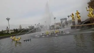 Бруно брабансон весело инспектирует ВДНХ🐕🐶