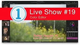 Capture One Live Show #19. Color Editor