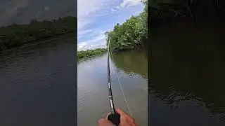 Kakap Idamanku iki 😁 #mancing #fishing