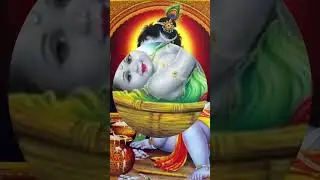 🙏🙏जय कृष्णन भगवान  #shorts #ytshorts #viral   bnp jagat 🙏🙏👍👍🐚🐚🐚✌️✌️✌️🐚🐚🐚🐚🐚🐚🐚🐚