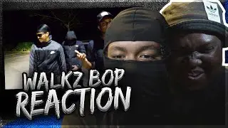 THE MANDEM DISSED ME 😭😭DAN & KAZ - WALKZ BOP FREESTYLE (WALKZ DISS) (REACTION)
