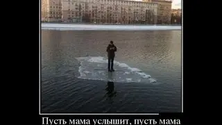 Прикольные картинки Демотиваторы выпуск 3
