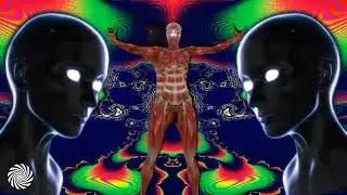 Spectro Senses @ Unite - Psytrance Sessions