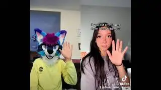 making fun of furries