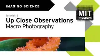 Tutorial: Up Close – Macro Photography
