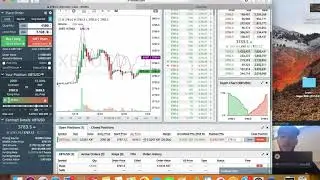 Powerbot signals Bitmex trading basics