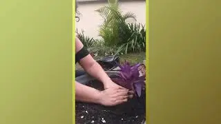 Bacia de Flores da Vó - como fazer