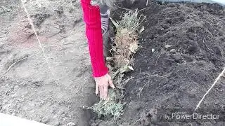 #РаботаВтеплице
