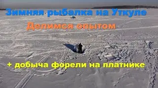 Зимняя рыбалка на Уткуле