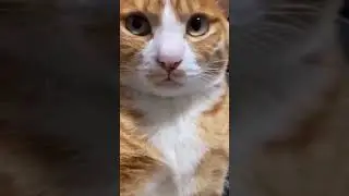 I LOVE THIS SOUND❤️😘😘