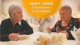 Четвёртый день из первой недели работы Добродомика в Новосибирске.