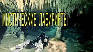 Сеноты Мексики: Исследование Мистических Водных Лабиринтов