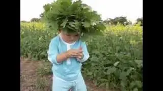 Renārs ielīgo...