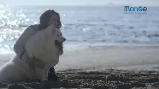 Monge Dog All Breeds Speciality Hypoallergenic (Гипоаллергенный лосось с тунцом)