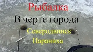 Рыбалка в черте города!!!Параниха  Северодвинск