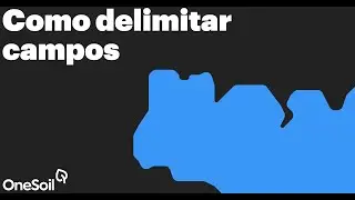 Como delimitar campos