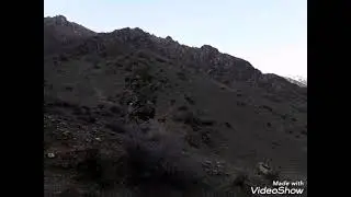 winter bushcraft with may friends 2022