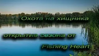 Охота на хищника
