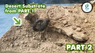 Desert Enclosure Build using Desert Substrate - PART 2